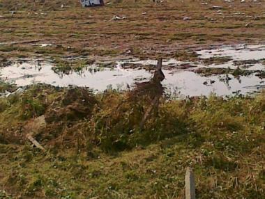 Над 3 млн. лева за компенсации на пропаднали площи