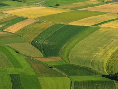 Земеделската земя у нас е поскъпнала тройно за 5 години