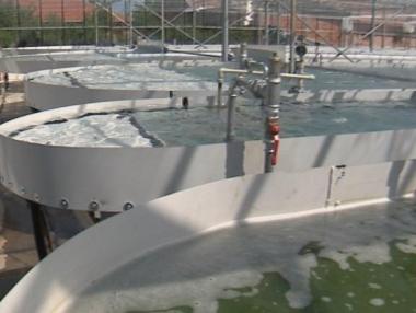 Български учени целогодишно отглеждат спирулина