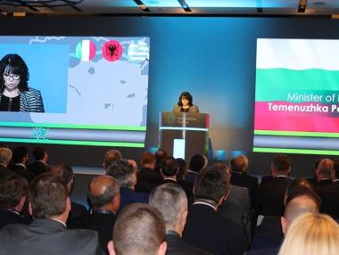 България ще получава природен газ от Транс-адриатическия газопровод