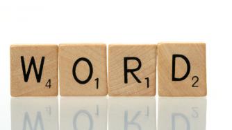 Коя е думата на 2015-а година?