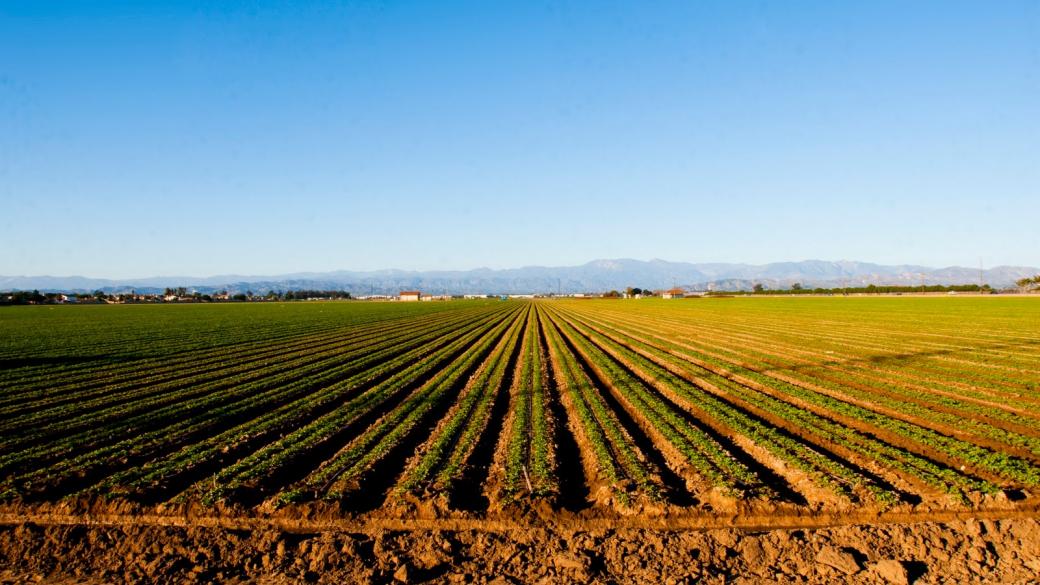 ЕК иска промени в правилата за покупка на земеделска земя
