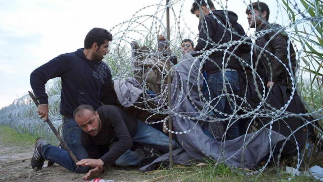 Спипаха 50 нелегални мигранти на границата с Гърция