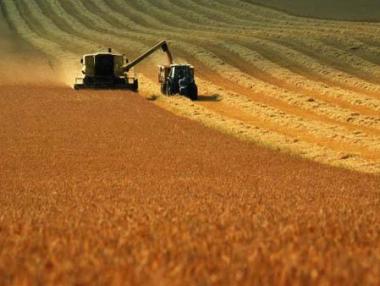 Увеличиха с 14,9 млн. евро бюджета за инвестиции в земеделски стопанства