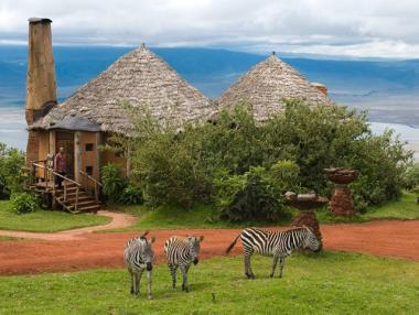 Едно необикновено място за сафари