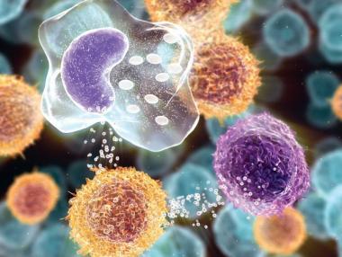 Ваксината за рак вече е факт