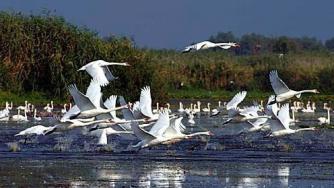 Японска телевизия снима филм за български резерват