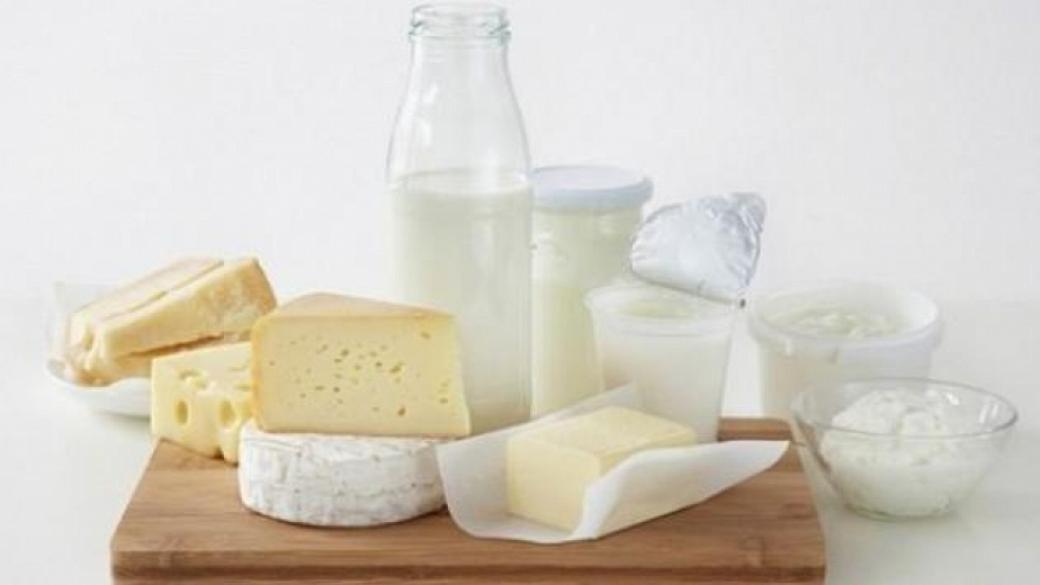 Българска компания ще изнася млечни продукти в Китай