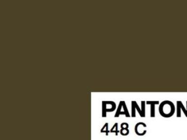 Най-грозният цвят на света ни отказва от пушенето