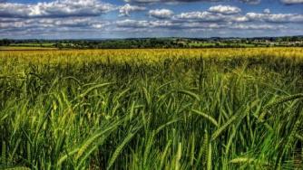 Фонд „Земеделие“ доплати близо 56 млн. лева по СЕПП