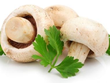 Търсят берачи на гъби