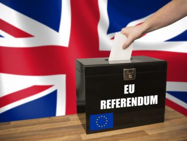 Кой реши референдума във Великобритания?