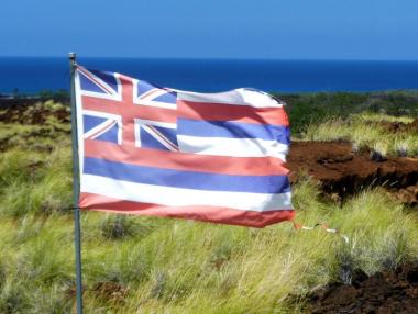 Brexit - реакциите на земеделския сектор