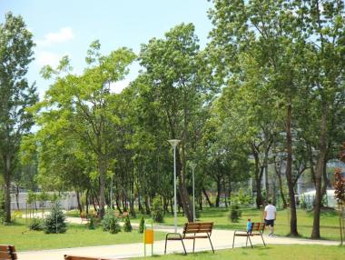 Обновяват паркове и градинки в София