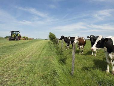 Над 115 000 земеделци са кандидатствали за директни плащания