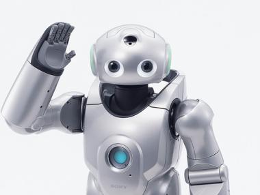 Роботи ще растат и живеят в семейства