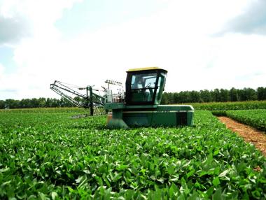 Преведоха 10,5 млн. лв. на земеделски стопани