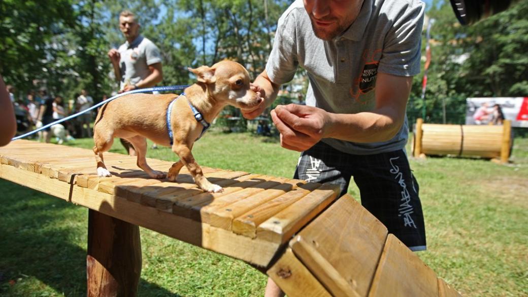Откриха първата площадка за кучета в Южния парк