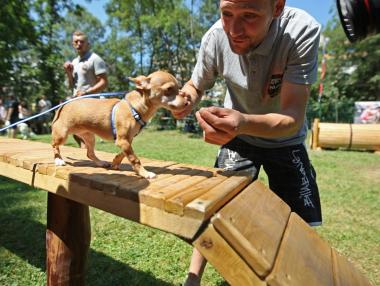 Откриха първата площадка за кучета в Южния парк