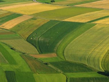 Цената на земеделската земя у нас расте
