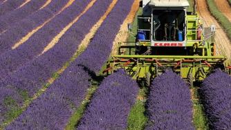 Облекчават процедурите за еднодневните трудови договори