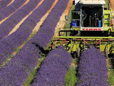 Облекчават процедурите за еднодневните трудови договори