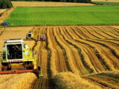 Фермерите сами ще теглят цифрови данни за площите за Кампания 2016