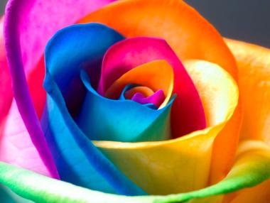 Най-актуалните цветове през лятото