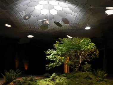 Изграждат първия подземен парк в света