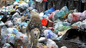 Италия ще изпраща боклука си у нас