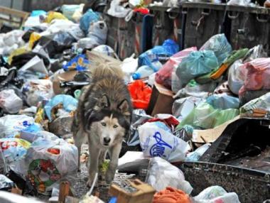 Италия ще изпраща боклука си у нас