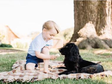 Принц Джордж стана на 3