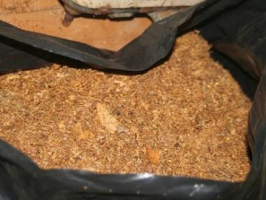 Последен ден за вписване в Регистъра на тютюнопроизводителите