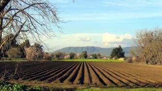 Стартираха кръстосани проверки за Кампания 2016