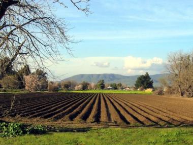Стартираха кръстосани проверки за Кампания 2016