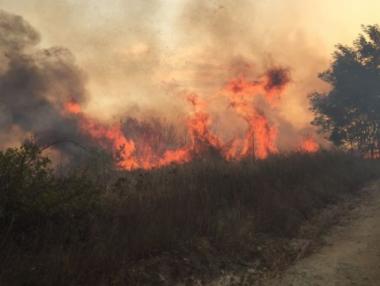Огромни пожари пламнаха в страната