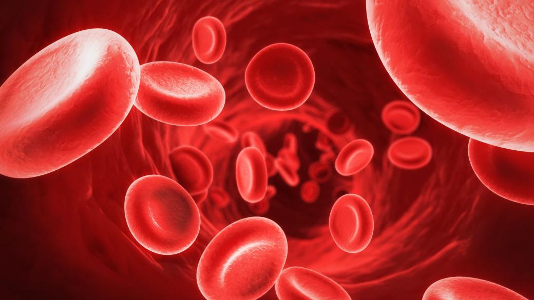 Учени правят опити за подмладяване на хора с кръв