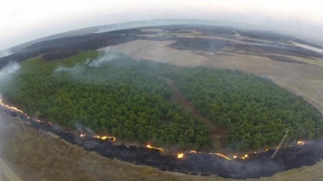 Голям пожар – 15 хил. дка горяха край Хасково