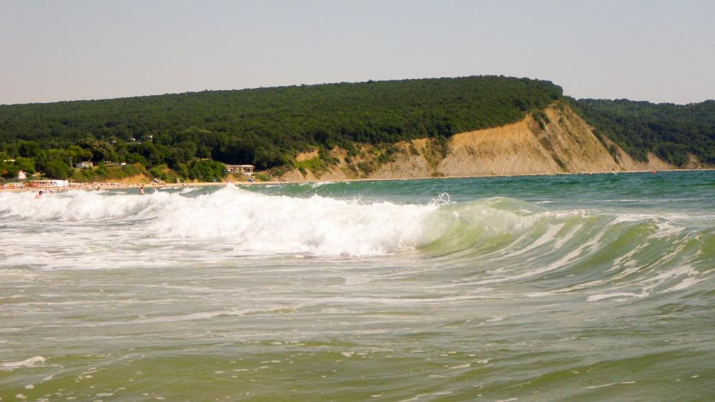 Рибата в Черно море изчезва