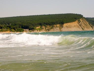 Рибата в Черно море изчезва