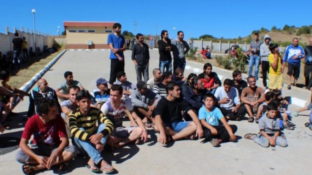 Над 50 бежанци заловени в Перник
