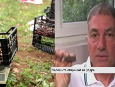 В Кюстендил създадоха ракетно гориво от череши