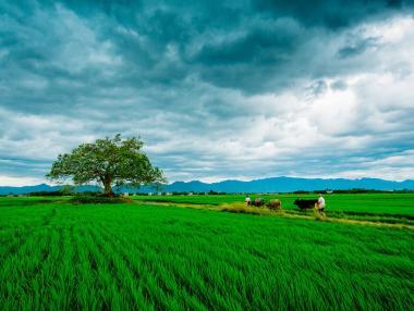 Наръчник ще помага на земеделските производители