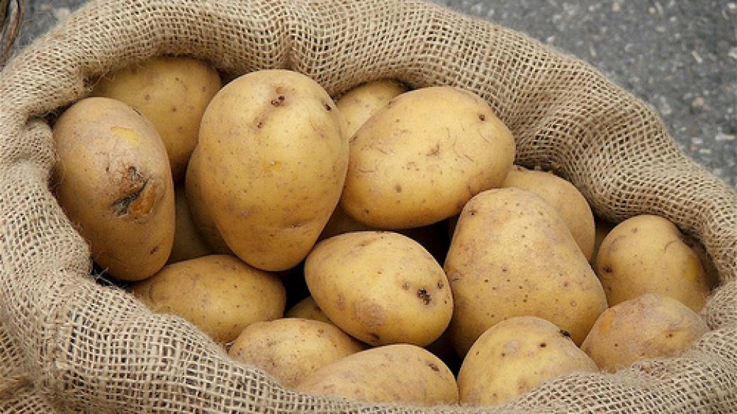 Слаба реколта от картофи
