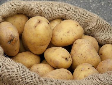 Слаба реколта от картофи