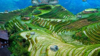 Летящ хотел ще вози гостите си, където пожелаят