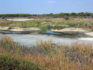 Испански национален парк осигурява 200 хил. работни места