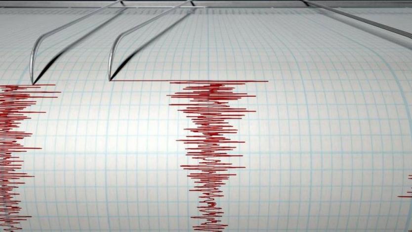 Земетресение в Румъния усетено и у нас