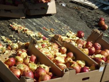 За година Русия унищожи 8,2 хил. тона продукти