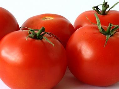 1 млн. лева за земеделци, засегнати от доматения молец